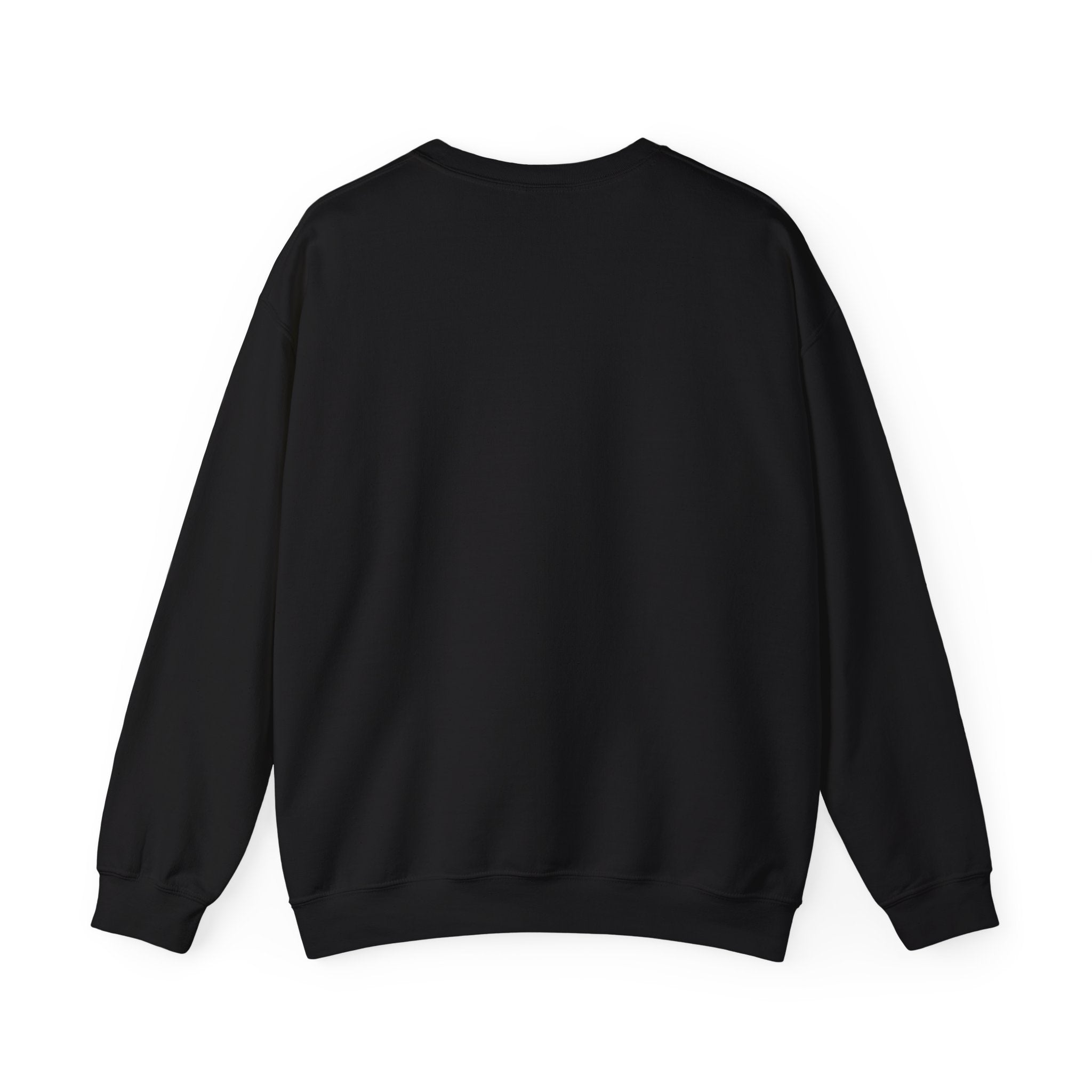DSN Crewneck Sweatshirt (Front Only) – The DSN Lifestyle