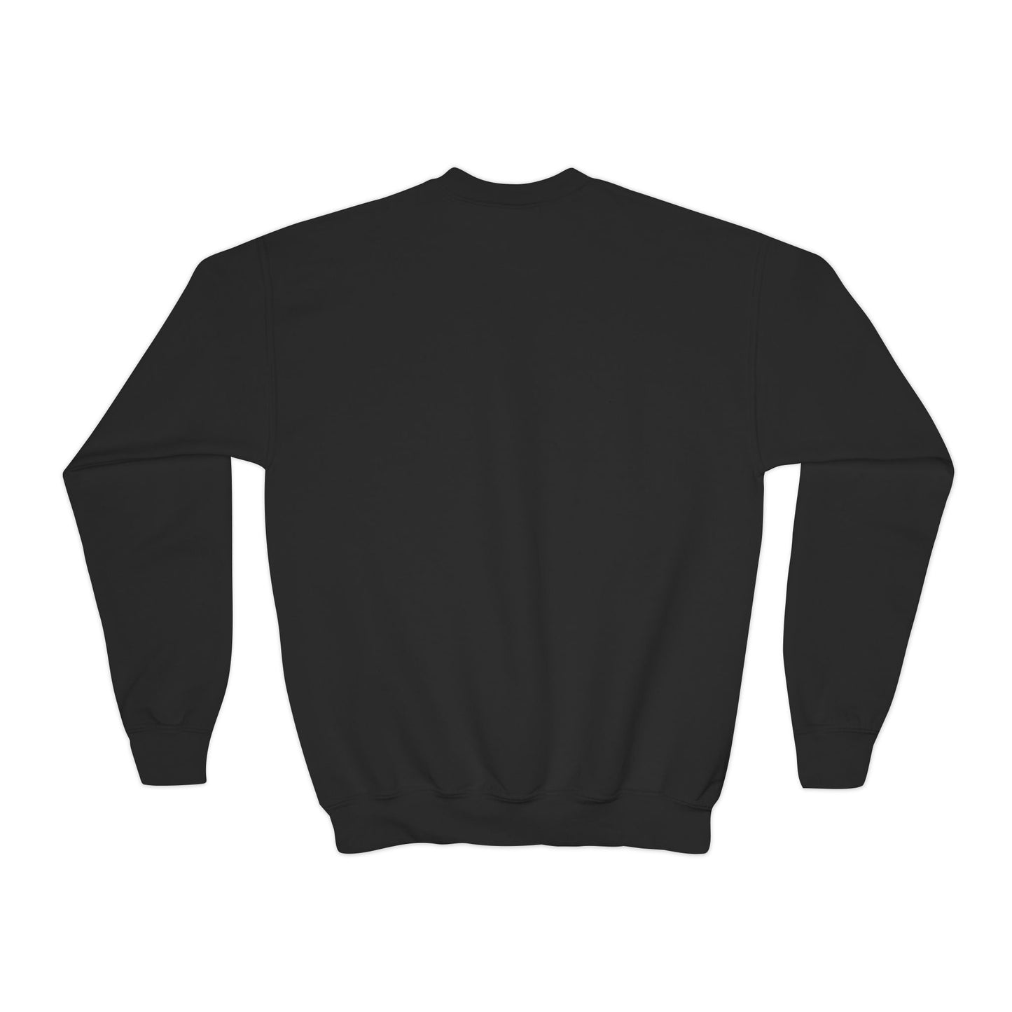 YOUTH Neon DSN Crewneck Sweatshirt